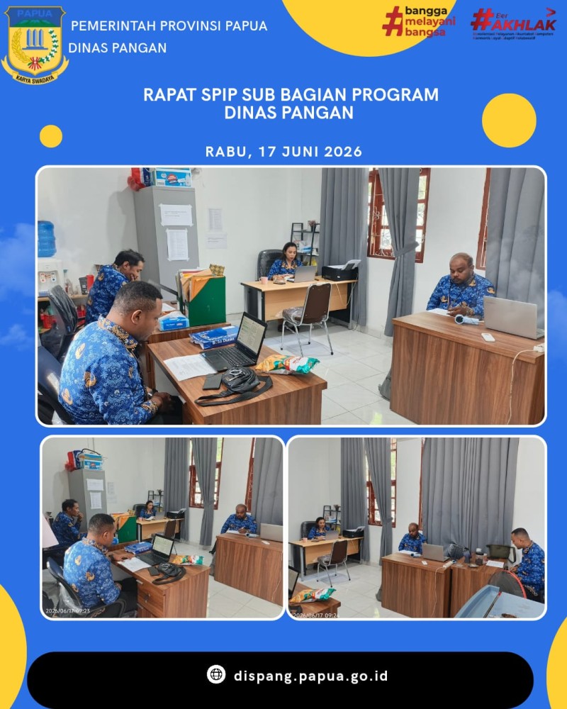 Rapat SPIP Sub Bagian Program Dinas Pangan Provinsi Papua